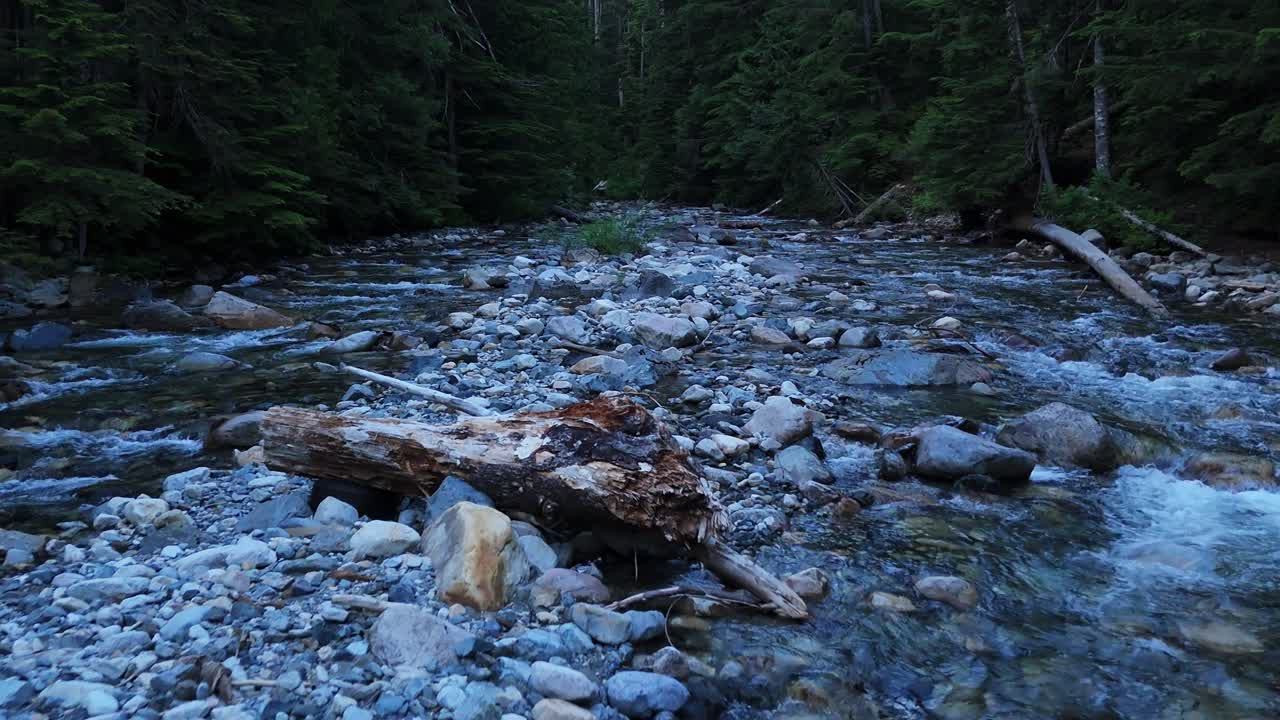 Scenic low flying backwards shot gliding over river creek flowing in Evergreen Forest in the Pacific Northwest