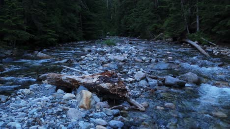 scenic low flying backwards shot gliding over river creek flowing in evergreen forest in the pacific northwest