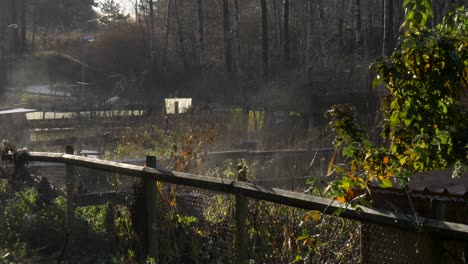 slow motion shot, beautiful natural view of agricultural community garden, gothenburg