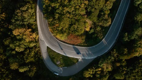 road trip through an autumn coloured forest