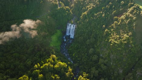 cascada marokopa en el paisaje del bosque verde con la luz del sol de la mañana, aérea