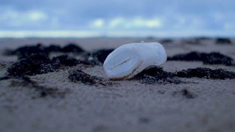 White-plastic-bottle-on-the-beach,-trash-and-waste-litter-on-an-empty-Baltic-sea-white-sand-beach,-environmental-pollution-problem,-overcast-day,-low-closeup-shot