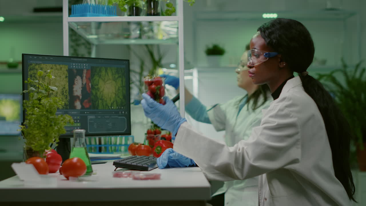 Chemist researcher injecting strawberry with organic dna liquid