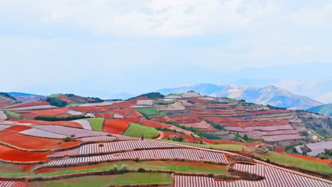 Luftaufnahme-Der-Wunderschönen-Landschaft-Der-Natürlichen-Terrassenreisanbaufelder-In-Den-Bergen-Auf-Dem-Land