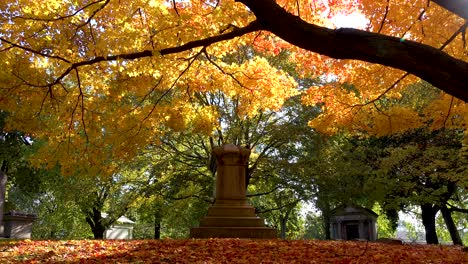 yellow autumn leaves over a grave in a cemetery 4k