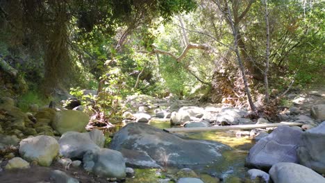 slow aerial through a green forest stream or river environment suggests wilderness santa ynez mountains california