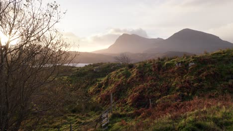 a slow tilt reveals a golden sunset breaking through the branches of a tree that sways in the wind with a background of silhouetted mountains in the highlands of scotland