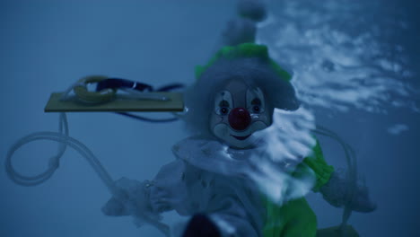 clown underwater