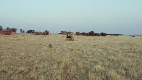 Jeep-driving-through-Namibia-territory-during-safari,-Africa