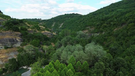 nestorio greece forest nature landscape aerial drone macedonia region river party holiday park