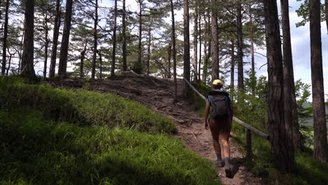 male hiker walking through forest with green grass and tall trees