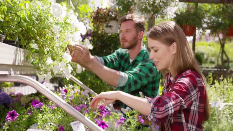 professional gardeners working with plants