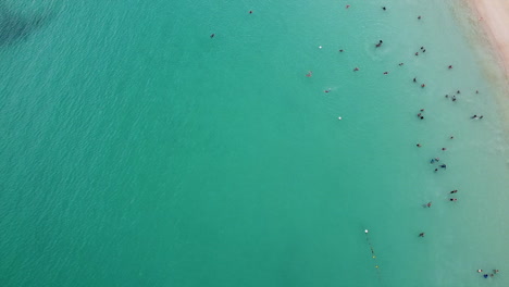 Epic-high-aerial-top-down-birds-eye-shot-of-crystal-clear-ocean-with-many-happy-people