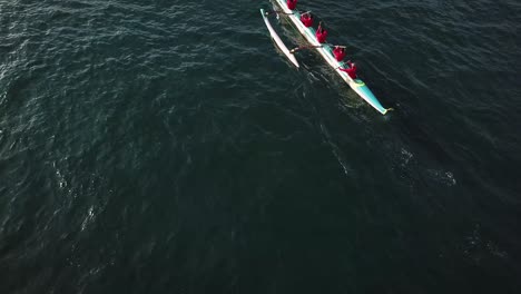 beautiful aerial over many outrigger canoes at the start of a race in hawaii 4