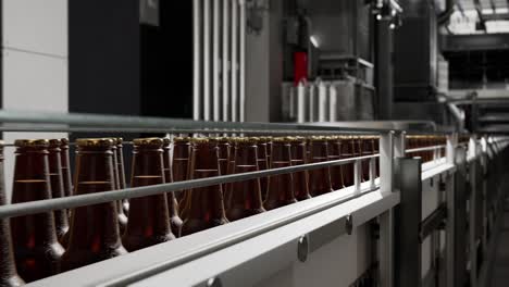 automated beer bottling line in a brewery