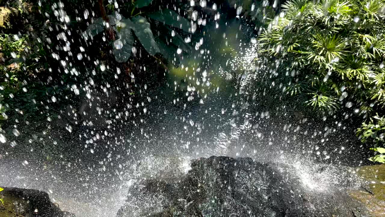 Water splashing over rocks in lush garden