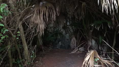going into dark cave