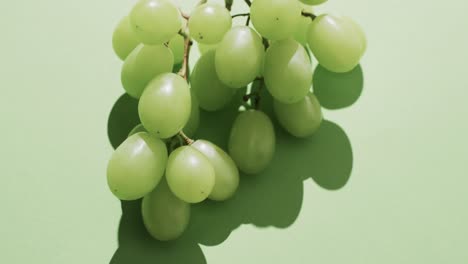 video de uvas blancas con espacio de copia sobre fondo verde