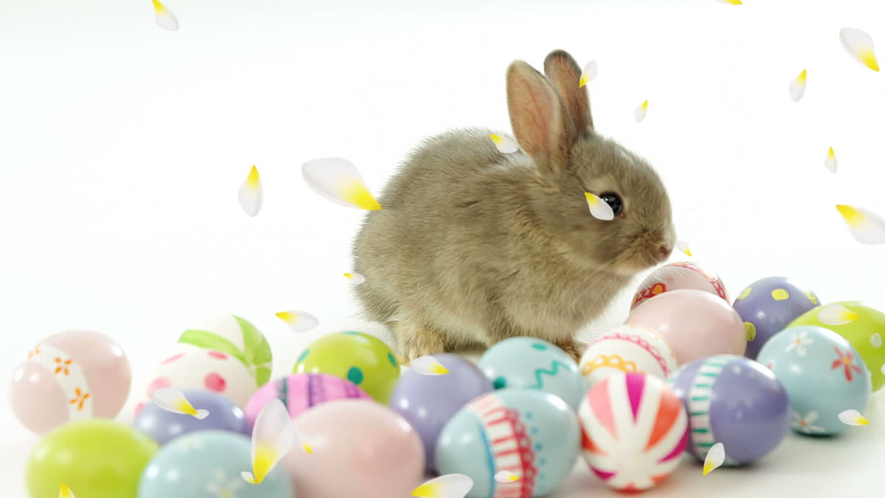 Animação de pétalas de flores brancas e amarelas caindo sobre coelho da Páscoa e ovos.