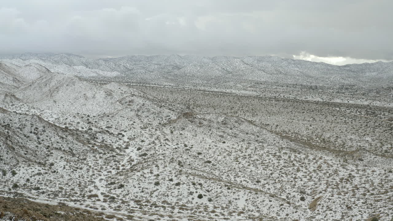 ráfagas de nieve cayendo sobre el desierto del árbol de joshua