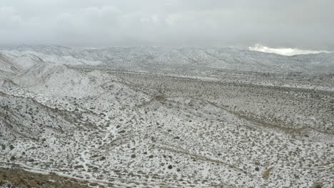 Ráfagas-De-Nieve-Cayendo-Sobre-El-Desierto-Del-árbol-De-Joshua