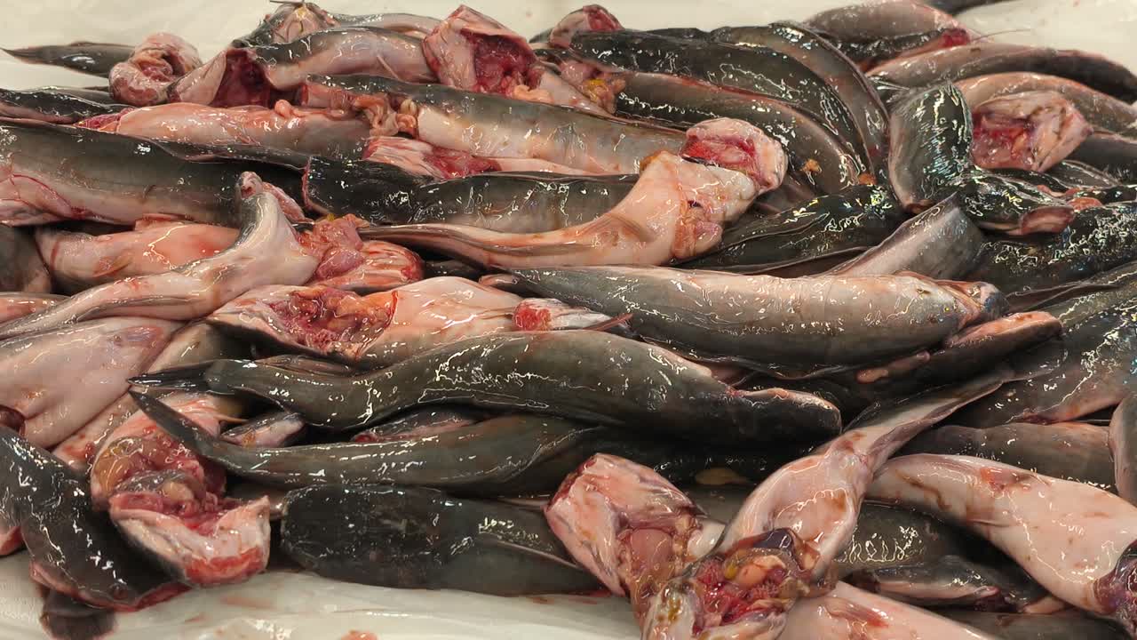 Freshly gutted catfish are arranged neatly on a bed of ice. These prepared fish are ready for sale, offering convenience for customers to cook immediately after a quick rinse