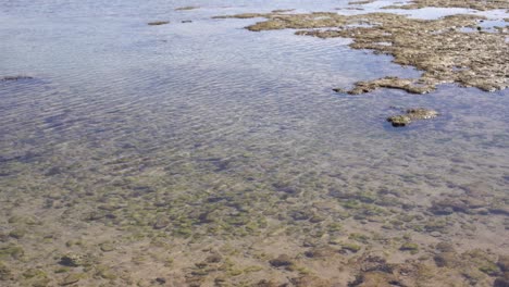 Rocks-of-dead-coral-swept-by-waves-at-white-sand-beach