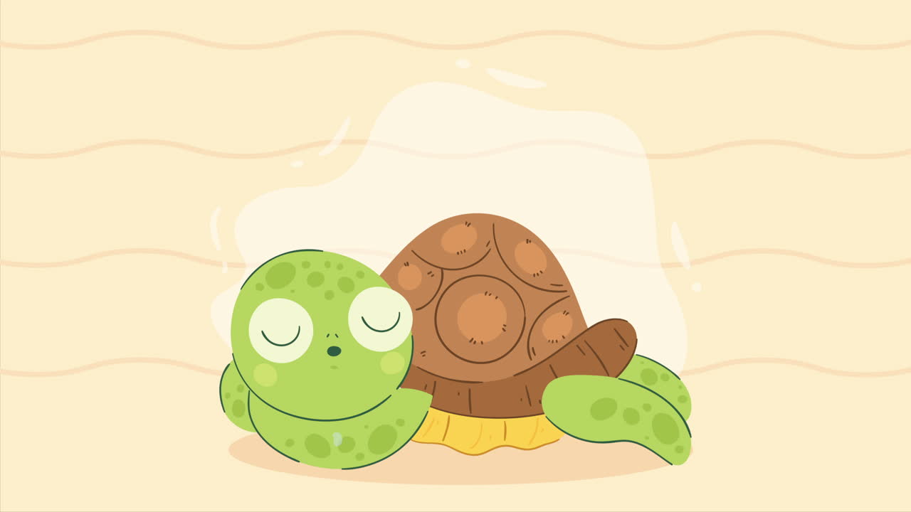 cute turtle sleeping character animation