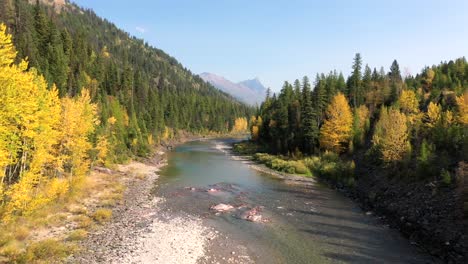 Río-Angosto-Y-Poco-Profundo-Que-Fluye-En-El-Centro-Del-Exuberante-Follaje-Otoñal-En-El-Parque-Nacional-De-Los-Glaciares,-Montana---Tiro-Medio