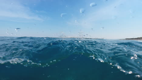 swimming dolphin style in the ocean