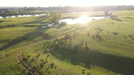 aerial view of the river and landscape