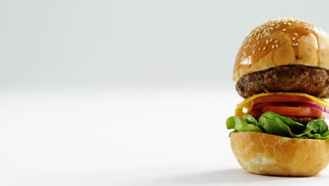 Hamburger-against-white-background