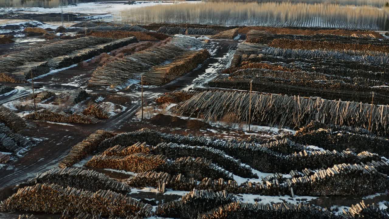 vista aérea de las gigantescas reservas de árboles cosechados de la industria forestal canadiense