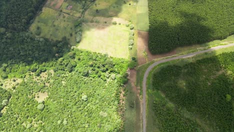 Natural-forest-cover-of-kenya