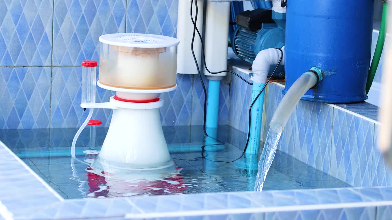 물고기 크 필터링 시스템