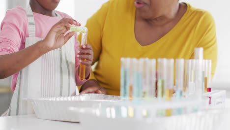 Video-of-excited-african-american-granddaughter-and-grandmother-make-chemistry-experiment-at-home