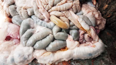 órganos viscerales de una oveja sacrificada para el eid al-adha (fiesta de sacrificio).