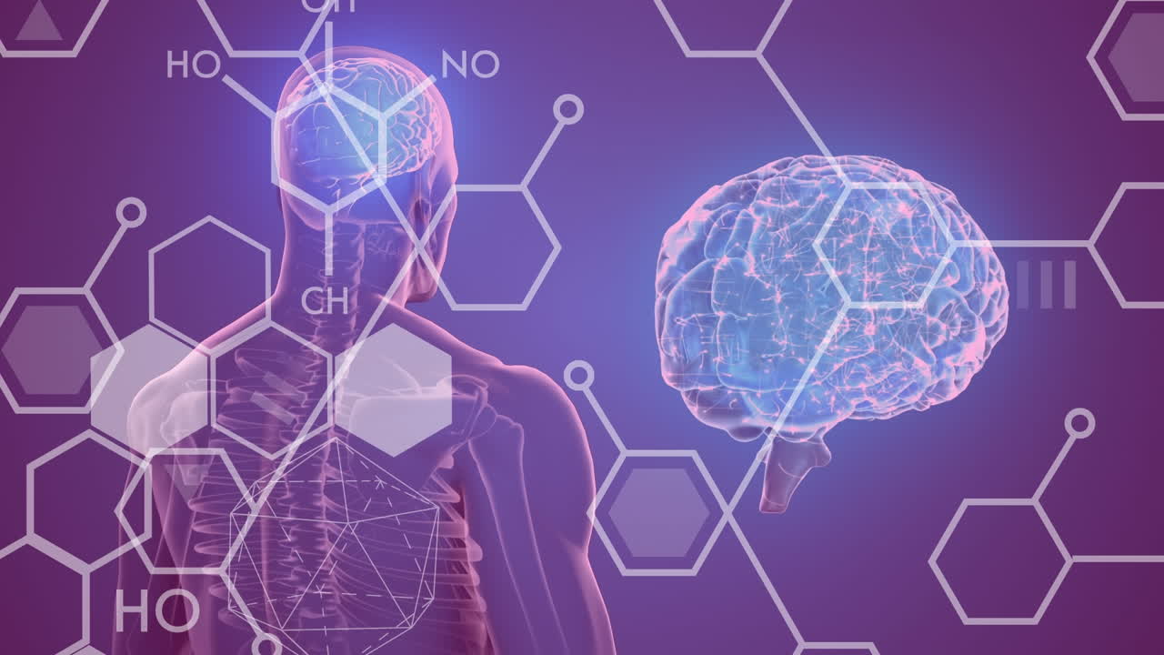 Animação de fórmulas químicas sobre modelo de corpo humano em fundo roxo