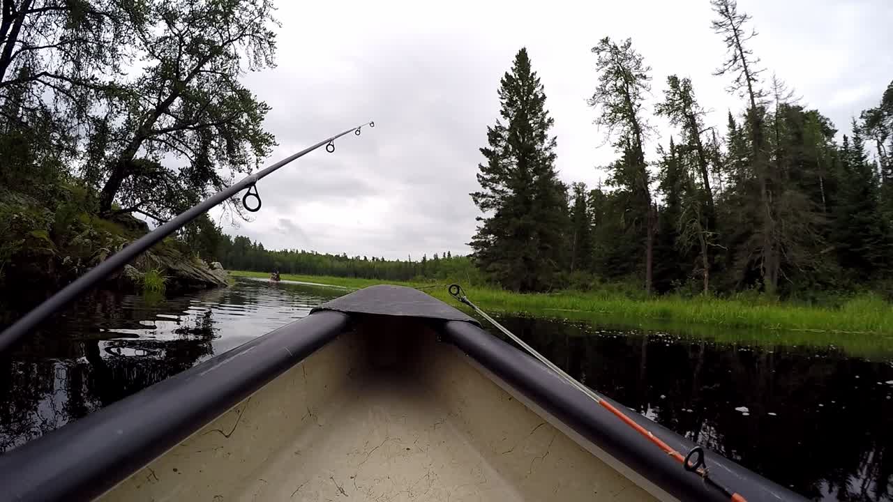 GoPro mounted at front of canoe paddling along small river in Northern Ontario Canada. Bow, fishing rod tips visible with spruce shoreline, granite rocks, tannin stained water under cloudy sky