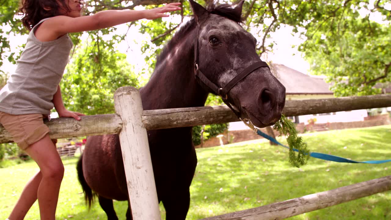 un niño hispano alimentando a un caballo con una zanahoria y acariciándolo