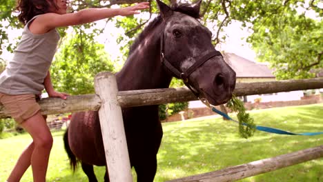 little hispanic boy feeding horse a carrot and petting him