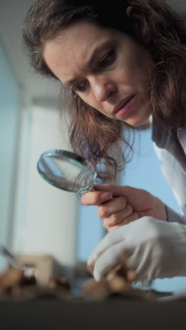 paleontologist examining fossil