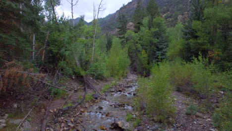 ascending drone shot from a peaceful flowing creek to reveal beautiful mountains and bright green trees in the background