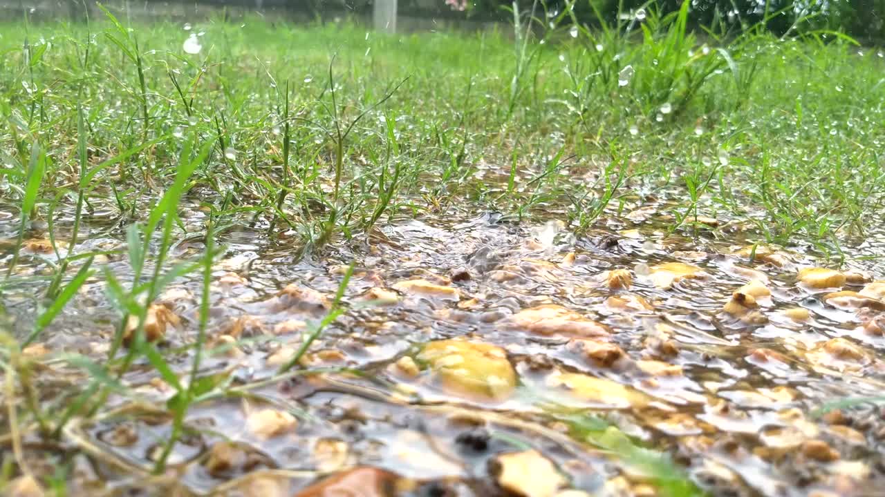 잔디과 자갈 위에 큰 웅이로 떨어지는 방울