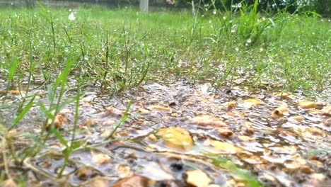 gotas de agua de lluvia que caen en un gran charco en pastizales y grava