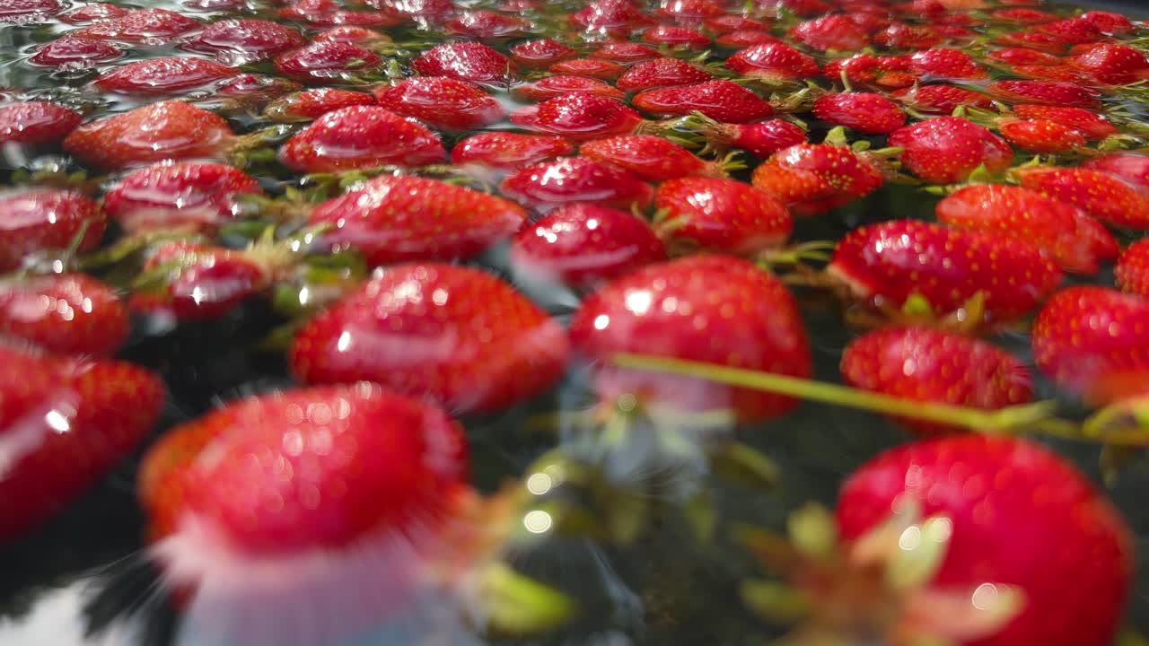 Vivi la semplicità della vita contadina con questo filmato di fragole biologiche lavate in acqua di pozzo