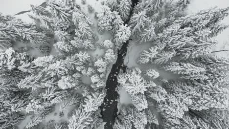 Vogelperspektive-Auf-Idahos-Winterliche-Landschaft-Mit-Schneebedeckten-Bäumen-Entlang-Eines-Gewundenen-Flusses-Darunter