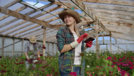 two happy farmers working in a greenhouse with flowers using tablet computers to monitor and record crops for buyers and suppliers of flowers to shops a small business and colleagues working together.