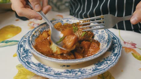 prepared potato and meat dish in the plate, close up