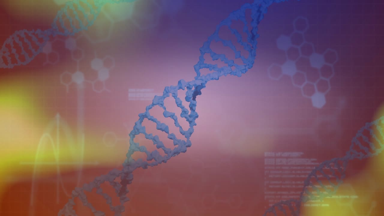 En DNA-helix dukker op, roterende lysklumper driver, overlejringer falmer, en sekskant pulserer i en looping-animation.